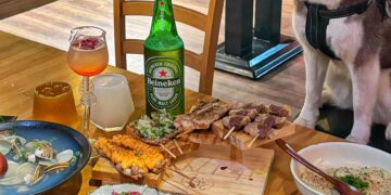 毛起來喫寵物友善居酒屋 菜單&評價｜跟寵物一起居酒屋?｜竹北特色美食推薦