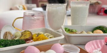 紅玥緬因貓藝廊 菜單&評價｜中山站最可愛的緬因貓咪咖啡廳｜大同區特色美食推薦