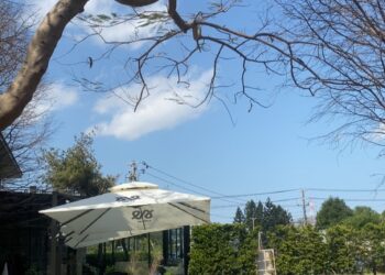 NINI 尼尼南崁店 菜單&評價｜桃園超美庭園聚餐空間 ｜蘆竹區特色美食推薦