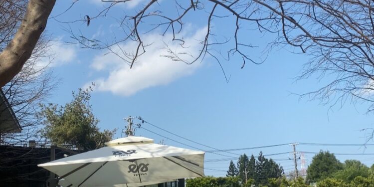 NINI 尼尼南崁店 菜單&評價｜桃園超美庭園聚餐空間 ｜蘆竹區特色美食推薦