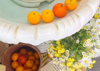 杦窩JIUWO 菜單&評價｜濟州島感の韓系水池咖啡廳｜樹林區特色美食推薦