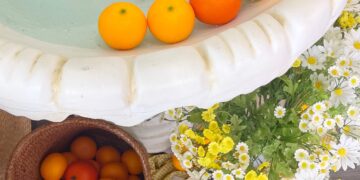 杦窩JIUWO 菜單&評價｜濟州島感の韓系水池咖啡廳｜樹林區特色美食推薦